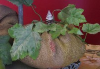 burlap pumpkins