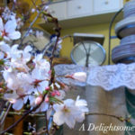 Cheery Cherry Blossoms 9