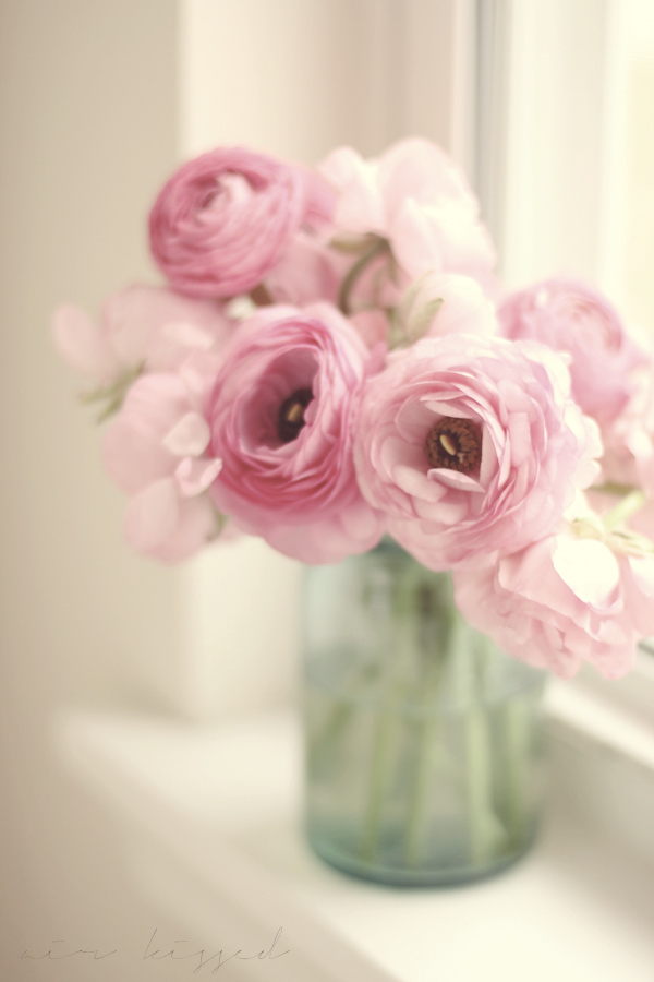 exquisite photography of these gorgeous Ranunculus can be found at Lara's blog, Air Kissed