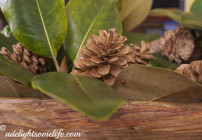 bleached pinecone tutorial
