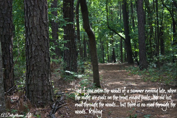 Walking In The Woods Quotes. QuotesGram