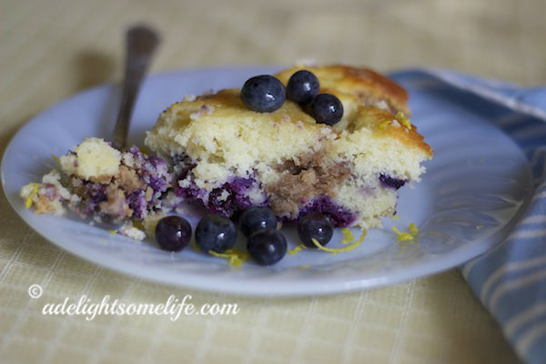 Blueberry Crumb Cake 2