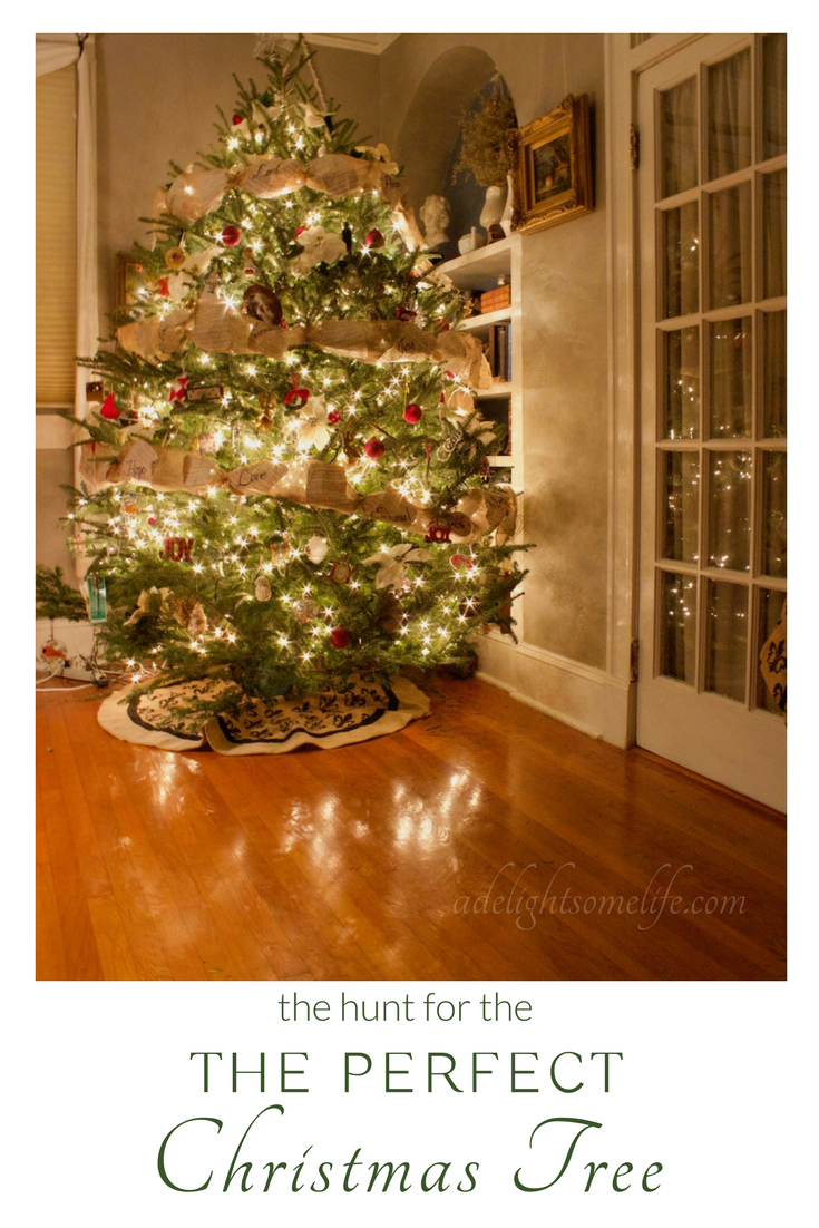 The decorated Christmas tree the perfect ending to a joyous day together as a family celebrating the joy of Thanksgiving and Christmas on A Delightsome Life
